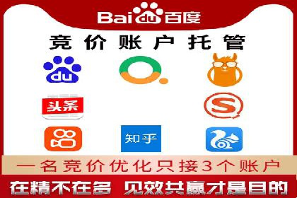某电商平台的SEM优化托管实践与效果评估